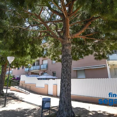 Apartment Apto Carlos *